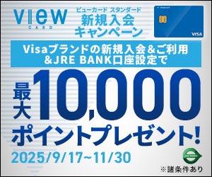 ビューカード スタンダード